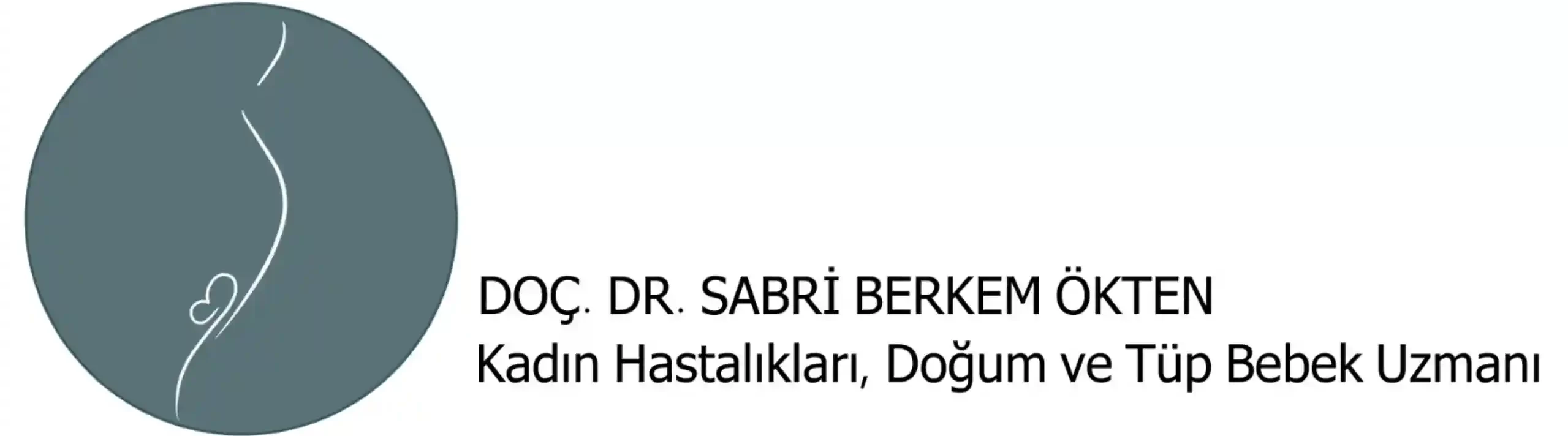 Doç. Dr.  Sabri Berkem Ökten